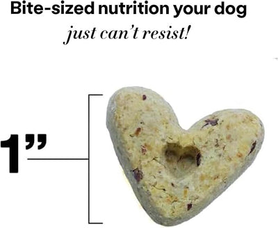 Wild Earth Superfood Dog Treats, Plant Based Dog Treats with Omega Acids, Prebiotics & Koji Protein, No Fillers, Veterinarian-Developed, Strawberry & Beet Flavor