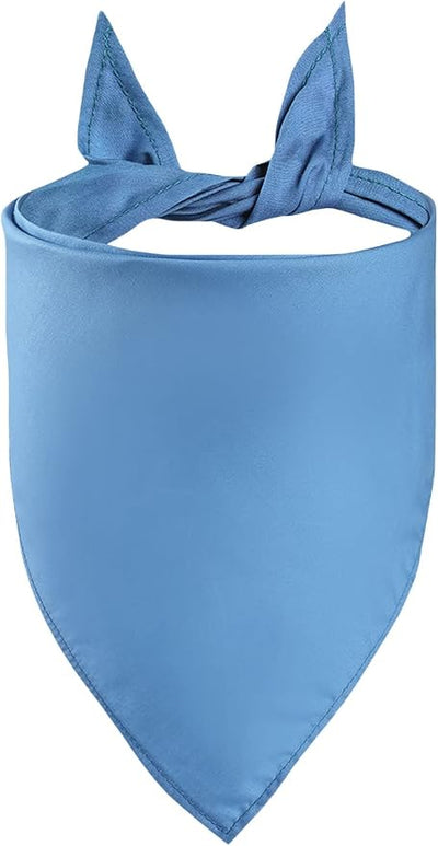 Petitebella Single Color Pet Bandana (Blue, Small)