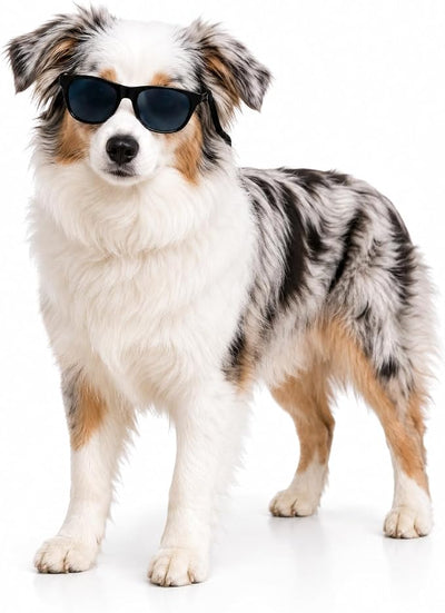 G006 Dog Pet Retro 80s Costume Sunglasses for Small Breed (Black)