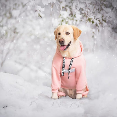 Dog Hoodies Winter Coat for Large Medium Dogs, Pullover 9 Legs Warm Coat Hooded Sweatshirt, Fleece Hoodie for Cold Weather (Pink, 4X-Large)