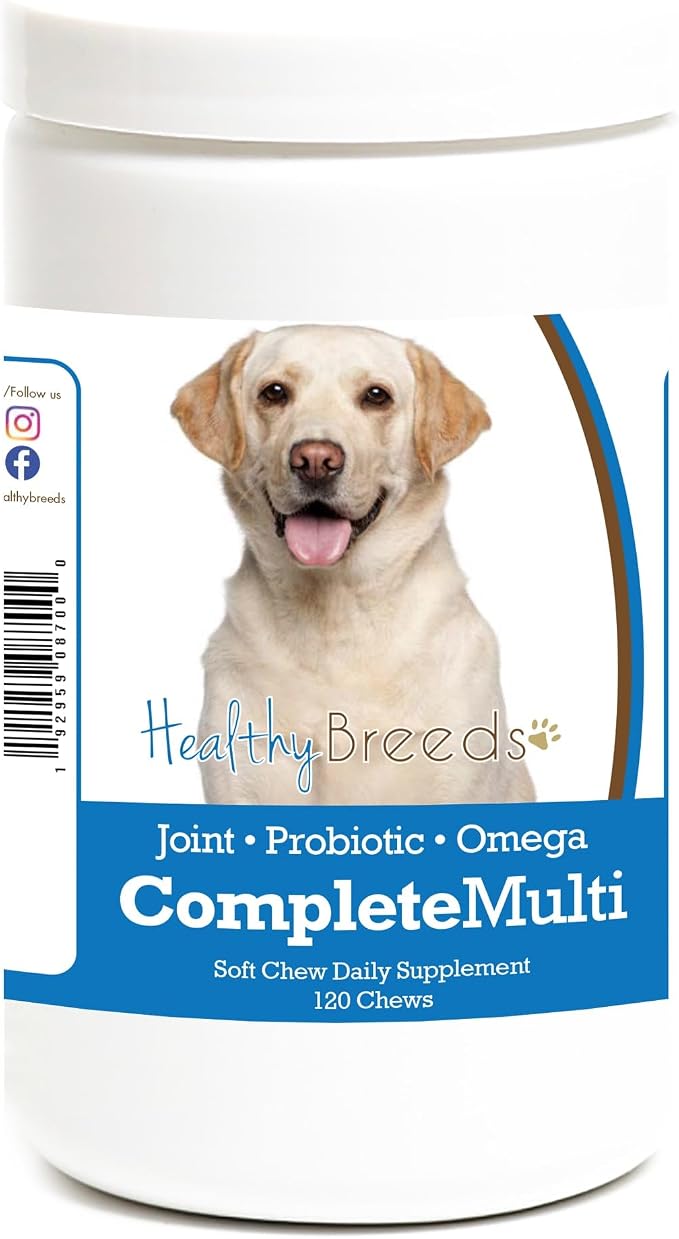 Labrador Retriever All in One Multivitamin Soft Chew 120 Count