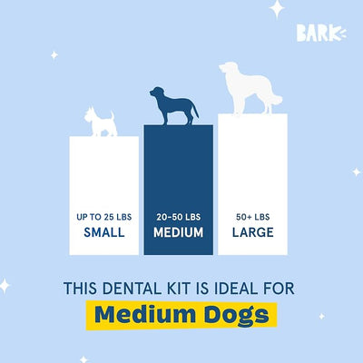 Barkbox Bright Durable Dog Dental Kit for Tough Chewers, 15 Chew Sticks & Toothpaste - Medium Breeds