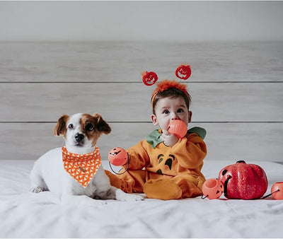 Lionheart Glory Halloween Bandana 1 Pack - Washable Soft Scarf, Square Adjustable for Girl or Boy Dogs and Cats