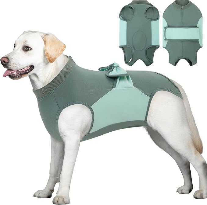 Recovery Suit for Dogs, Cotton Zipper Dog Surgery Suit Female Spay Pet Male Breathable, Neuter Dog Onesie Clothes Bodysuit Prevent Licking Wounds, Substitute E-Collar & Cone(Green, 2X-Large)