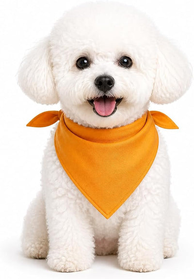 Petitebella Single Color Pet Bandana (Orange, Small)