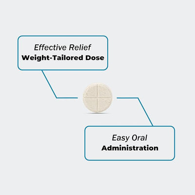 Dogs and Cats Pain Relief Tablets | Joint & Hip Pain Support|Arthritis, Aches and Swelling Keep pup Mobile|100% Veterinarian Formulated,for All Breeds,Ages & Weights, 90 Count