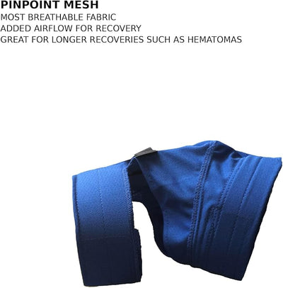 No Flap Ear Wrap (Blue Pinpoint Mesh, X-Small)