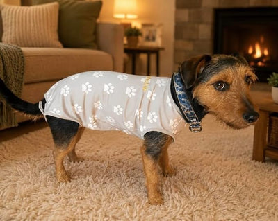 Dog Recovery Suit – Cotton Surgical Onesie, Spay Neuter Post Surgery, Anti-Licking E-Collar Cone Alternative, Abdominal Wound Cover, Male & Female Dogs