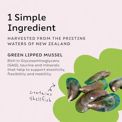 Super Snouts Joint Power 100% Green Lipped Mussels for Dogs & Cats - Dog Joint Supplement Powder Supports Joints, Tendons, Ligaments (2.64 oz)