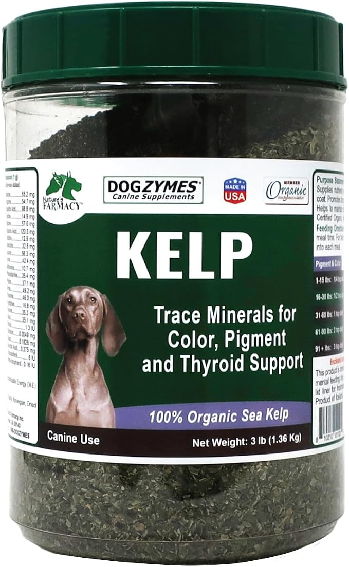 Organic Norwegian Kelp for Pets, a Valuable Nutrition Source Rich in Iodine to Support Gland Function, Especially The Thyroid (3 Pound)