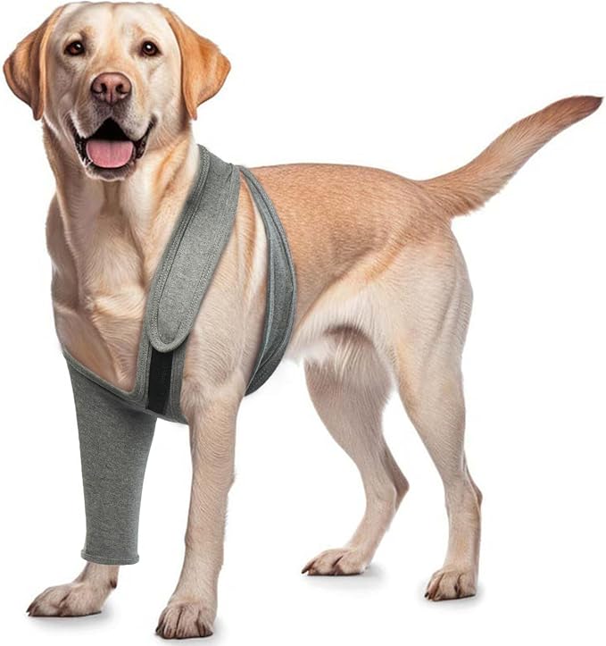 Dog Leg Wound Cover for Front Right Left Leg, Pet Prevent Licking Wound Elbow Knee Protector, Dog Recovery Suit Cone Collar Alternative for Sprain ACL CCL Arthritis Joint Care Grey L