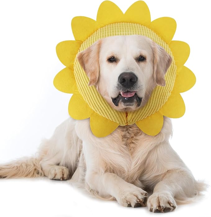 Inflatable Recovery Dog Collar, Protective Donut Cone, Adjustable Soft Collar for Dog and Cat After Surgery Prevent from Biting & Scratching EU002 - Sunflower M+