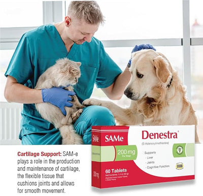 Same for Dogs - S-Adenosyl-L-Methionine 200 mg - Supports Liver Health, Cognitive Function & Healthy Aging - Vet-Approved Formula - 60 Tablets