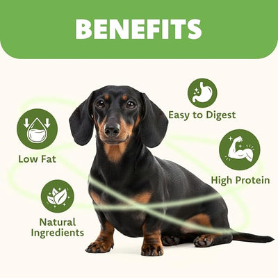 MON2SUN Dog Training Treats, Chicken Wrapped Cod Fillet, 4 Inch Soft Rawhide-Free & Dental Chews for Small Dogs, 20oz (56 Count-Pack of 1)