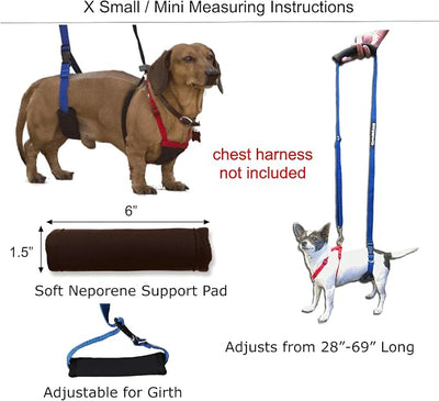 GINGERLEAD Dog Support Sling Harness, X-Small Fits Pets Under 25 lbs or Male Dachshunds with IVDD, Spinal Disc Disease, or Back Injuries. Assist Old or Arthritic Pets. Chest Harness not Included.