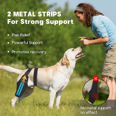 Dog Knee Brace–Adjustable Support Brace for Torn Acl Hind Legs with 2 Stabilizer Support to Reduces Pain, Ligament Injuries & Luxating Patella for Small Medium Large Dogs (Left Leg, S)