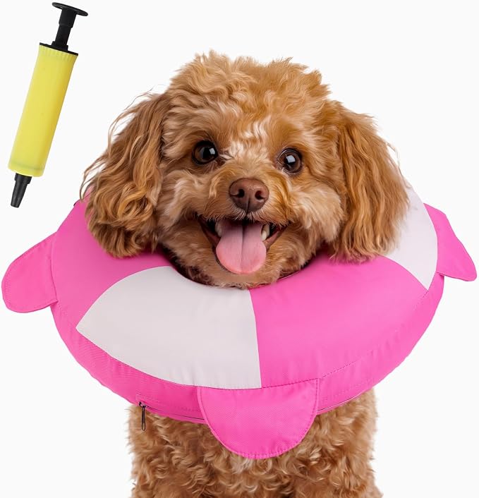 IECOii Inflatable Dog Recovery Collar, Comfortable Cone Alternative | Comfort Beyond the Cone | Pillow-Like Comfort | Full-View Freedom | Lick-Free Healing | Stay-Put Fit | Easy-Clean Design