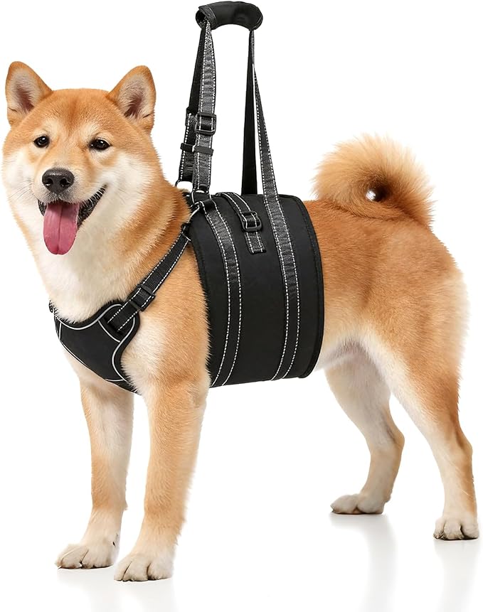 Dog Lift Harness Sling - Adjustable Pet Carrier for Senior Dogs with Arthritis Joint Injuries, Emergency Support Rehabilitation Aid for Nail Trimming, Stairs Assistance