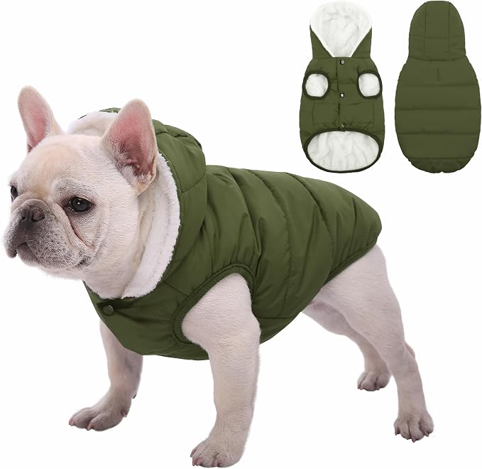 SAWMONG Waterproof Dog Winter Coat, Warm Fleece Lined Dog Jacket with Hood, Windproof Puppy Coat, Pet Apparel Vest Outdoor&Indoor Winter Activities(Green,XS)
