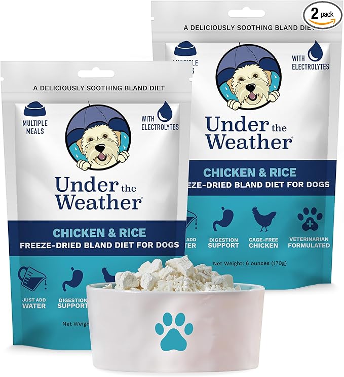 Bland Diet for Dogs | Easy to Digest for Sick Dogs | Always Be Ready | Contains Electrolytes - All Natural Freeze Dried 100% Human Grade Meats | 2 Pack - Chicken, Rice - 6oz
