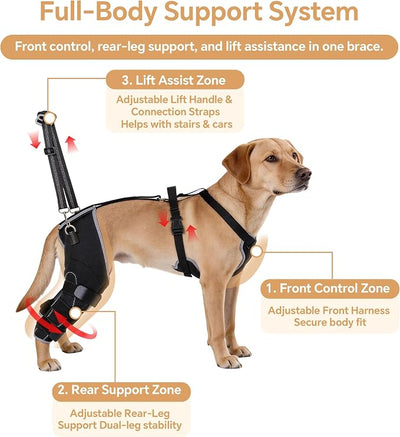 BALAPET Dog Rear Leg Brace for ACL/CCL Injury, Hinged Hind Leg Support Harness for Weak Back Legs, Torn ACL, Post-Surgery Recovery, Stairs, Car & Walking Assistance(M)
