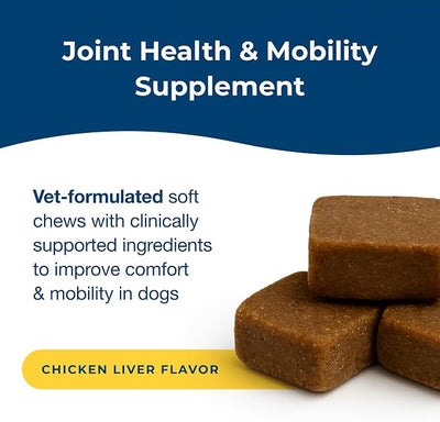 PetAg Dyne Soft Chews Sample, Joint Health & Mobility Supplement - Vet-Formulated for Dogs - with UC-II® Collagen - Up to 4X More Effective Than Glucosamine/Chondroitin - 3 Chicken Liver Flavor Chews
