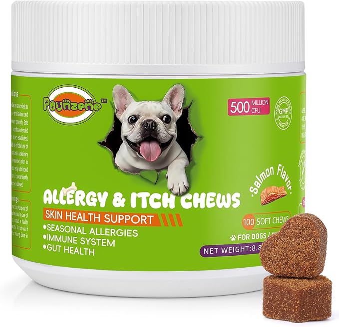 Dog Allergy Relief Chews, Itch Skin Relief for Dogs, Seasonal Allergy Support, Skin Irritation Treatment and Boosts Immunity - Allergy Supplements for Dogs, Salmon Flavor, 100 Soft Chews