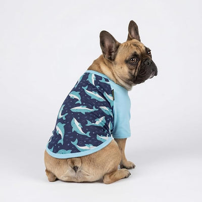 Fitwarm 2 Pack Dolphin & Fish Dog Shirt, Hawaiian Summer Clothes for Small Dogs Boy Girl, Lightweight Pet Outfit, Tea Blue, Green, Small