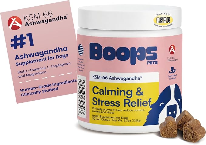 Calming Chews for Dogs – KSM-66 Ashwagandha, L-Theanine & Melatonin – Supports Relaxation & Calm Behavior – Great for Storms, Fireworks, Travel & Vet Visits – Turkey & Beef Flavor