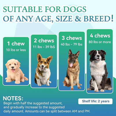 WEALLIN Joint Supplement for Dogs - Dog Joint Supplement Glucosamine Hip and Joint Chondroitin Chews Treats for Dogs with MSM Lipid Mussels Vitamins Dog Joint Support for All Breed 200pcs