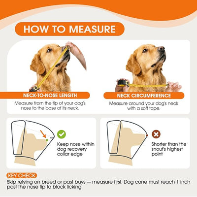 Dog Cone Collar After Surgery for Medium Dogs, Adjustable Soft Recovery Cone for Dogs to Stop Licking Biting, Comfortable Pet Elizabethan Alternative for Wound Healing