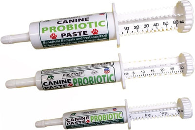 Dogzymes Canine Probiotic Paste Beneficial Bacteria-Enzyme 2.3 Billion CFU/gm Saccharomyces boulardii Organic Dried Honey Powder (15 Gram)