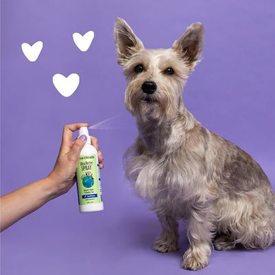 earthbath, Shea Butter Spray - Dog Dandruff Treatment, Dog & Cat Skin Moisturizer, Plant-Based, Cruelty-Free, Vegan, Gluten-Free, Non-GMO, Moisture Repair & Dander Care - 8 Oz