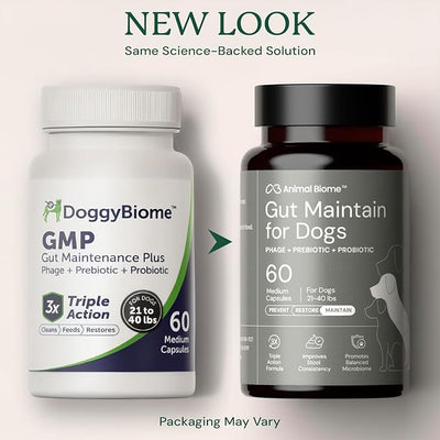 Animal Biome Probiotics for Dogs with S Boulardii, Gut Maintain (60 Capsules) – Triple-Action Small Dog Probiotics, Prebiotics & Phage Supplements for Gut Health, Firmer Stool & Diarrhea Support