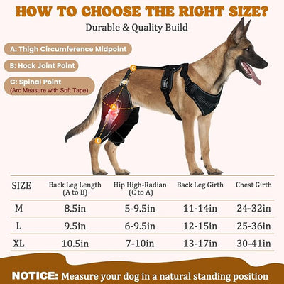 Dog Knee Braces for Back Leg, Adjustable Dog Leg Braces for Torn ACL Hind Leg with Metal Stabilizers, Better Recovery Knee Brace for Rear Leg Cruciate Ligament Injuries & Hip Dysplasia, L