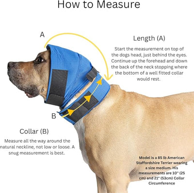 No Flap Ear Wrap (Blue Pinpoint Mesh, Large)