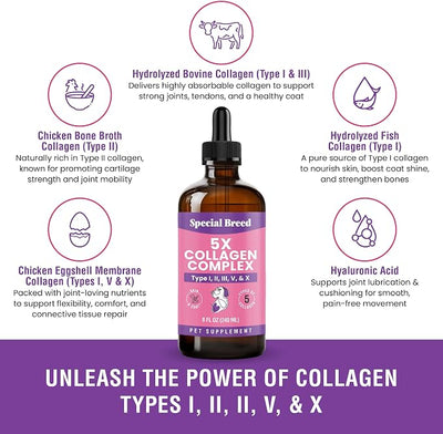 Premium Collagen for Dogs - Liquid Support for Joints, Skin, Coat, Bone, Immune System & HIPS - Collagen Supplement - Made in USA - 8oz