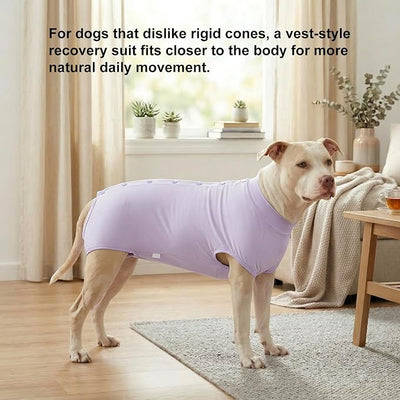 LovinPet Dog Recovery Suit, Snap-Back Post-Op Onesie for Large Dogs, Post-Spay Bodysuit for Female Dogs with Cushioned Belly Panel, Purple, XXL