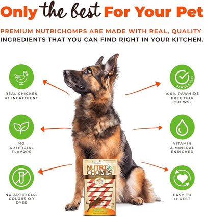 NutriChomps Dog Chews, 6-inch Twists, Easy to Digest, Rawhide-Free Dog Treats, 21 Count, Real Chicken flavor