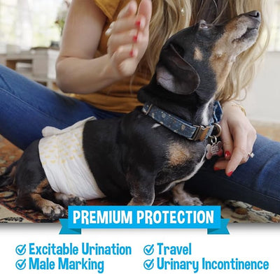 Bodhi Dog Disposable Male Dog Diapers - Super Absorbent, Leak-Proof Pee Wraps - Adjustable Fit, Comfortable Design, Advanced Moisture Control, and Wetness Indicator - Small (20 Count)