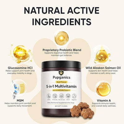 Pupganics Multivitamin Daily Soft Chews for Dogs, Pupganics 5 in 1 Multivitamin, Vitamin & Probiotics for Skin & Hair, Heart Health, Immune Support, Beef Flavor, 60 Soft Chews (1 PCS)