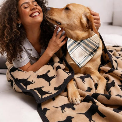Valentine Embellished Plaid Dog Bandana - Adjustable Soft Triangular Scarf for Dogs, Chic Daily Wear,Beige & Navy Large