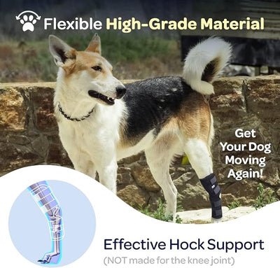 Labra Dog Rear Leg Hock Joint Compression Wrap - Supportive Brace for Weak Back Legs, ACL Tear, and Joint Discomfort - Adjustable Hind Leg Support for Senior Dogs - Large