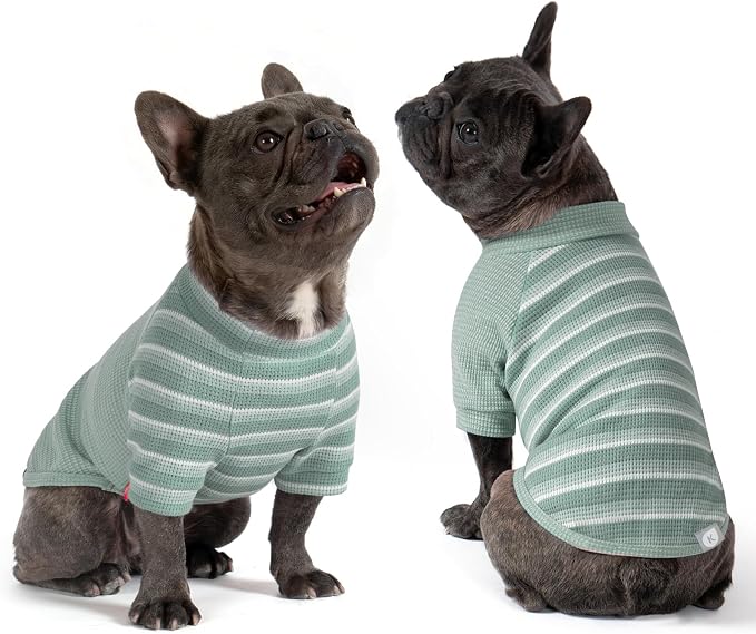 2Pack Waffle Dog Shirt with Sleeves, Lightweight Dog T Shirts for Small Medium Dogs Boy Girl, Breathable Pet Tee Shirts Soft Dogs Clothes for Daily Wear, Green+Striped, XL