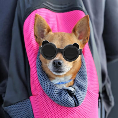 Enjoying Dog Goggles Extra-Small to Small Breeds, Dog Sunglasses UV Protection, Driving Eye Protection for Little Dogs, Breathable Windproof Dustproof Anti-Fog, Adjustable Straps, Panda Black