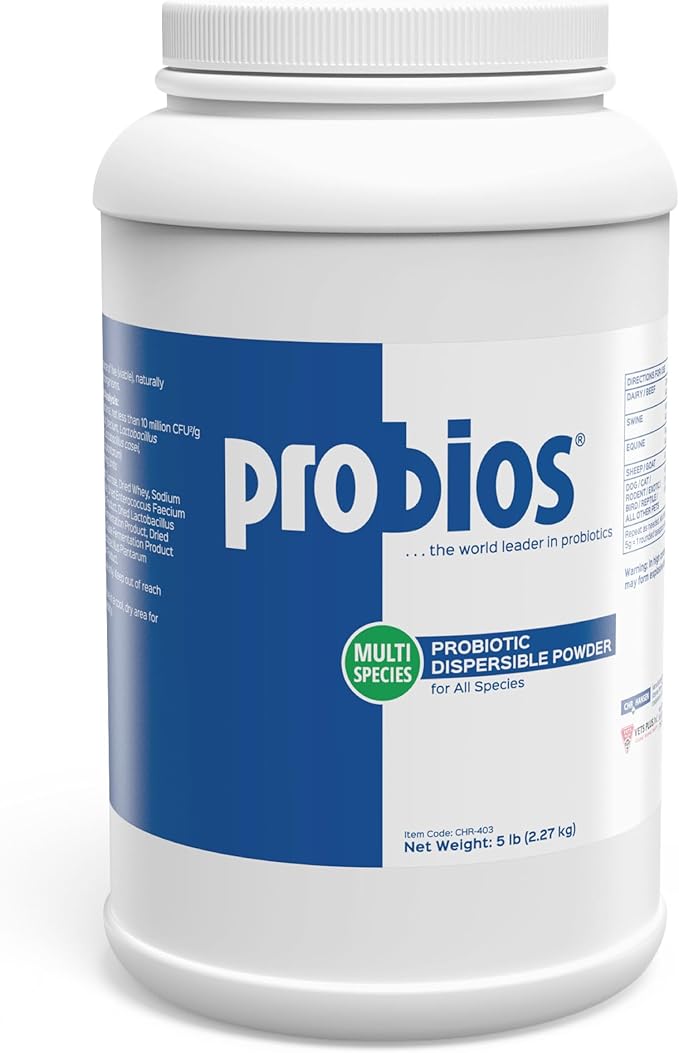 Digestive Support Probiotic for Dogs, Horses, Cats, Gut Health Powder for All Species, Daily Supplement for Digestion Immune Support, 5 lbs