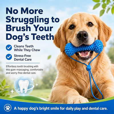 2Pcs Dual-Action Canine Dental Prop,Dog Toys Dual-Action Teeth Cleaning Mouth Prop,Pet Oral Care for Small,Dog Mouth Opener for Medium and Large Dogs