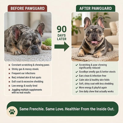 PawGuard French Bulldog Longevity Chews, Breed-Specific Formula Supplement for Bulldogs' Probiotics Chews, Supports Gut Health, Immunity & Skin, Pork Flavor, 30 Count (2 PCS)