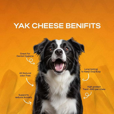 Premium Natural Fruit-Flavored Himalayan Yak Chew for Dogs - 300g, All-Natural, Long-Lasting, Authentic Yak Milk, Healthy Dental Chew (Large, Assorted (Pumpkin, Mint, Turmeric))