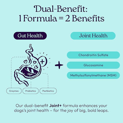 New! WellJoy Dog Supplement Joint+ GutBoost | Dog Health Supplement | Supports Healthy Flexible Joints | Dual-Benefit GutBoost Formulation | Vet Formulated | USA Made | Chicken Flavor | 90 Soft Chews